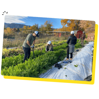 Bobo's team gardening